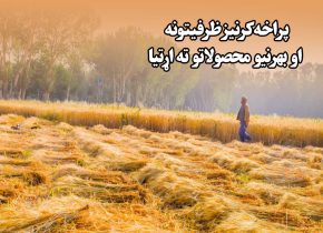 پراخه کرنیز ظرفیتونه او بهرنیو محصولاتو ته اړتیا