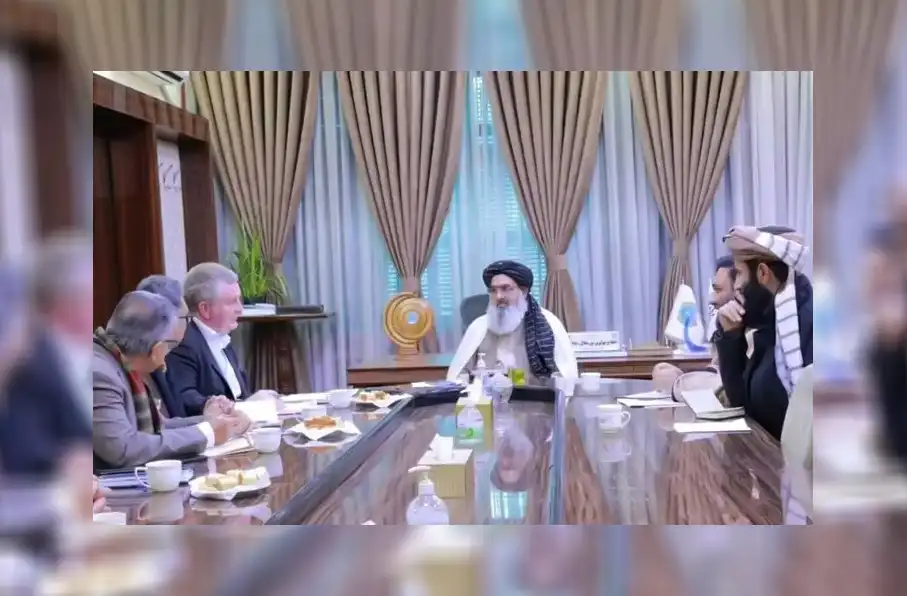 گفتگوی طالبان و سازمان جهانی صحت برای بهبود سیستم صحی افغانستان