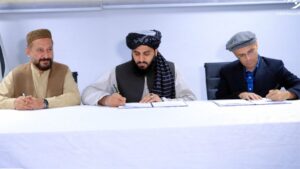 تفاهم‌نامه تولید برق میان شرکت برشنا و دو نهاد خصوصی امضا شد