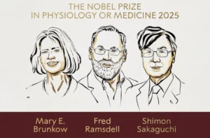 نوبل پزشکی ۲۰۲۵ به سه دانشمند برای کشف راز کنترل سیستم ایمنی اهدا شد