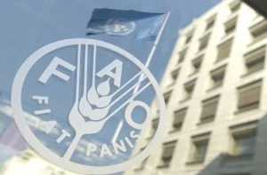 تلاش سازمان ملل برای تقویت امنیت غذایی در افغانستان